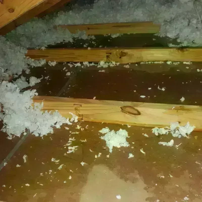 Best Attic Water Damage Service in Oakhurst, OK