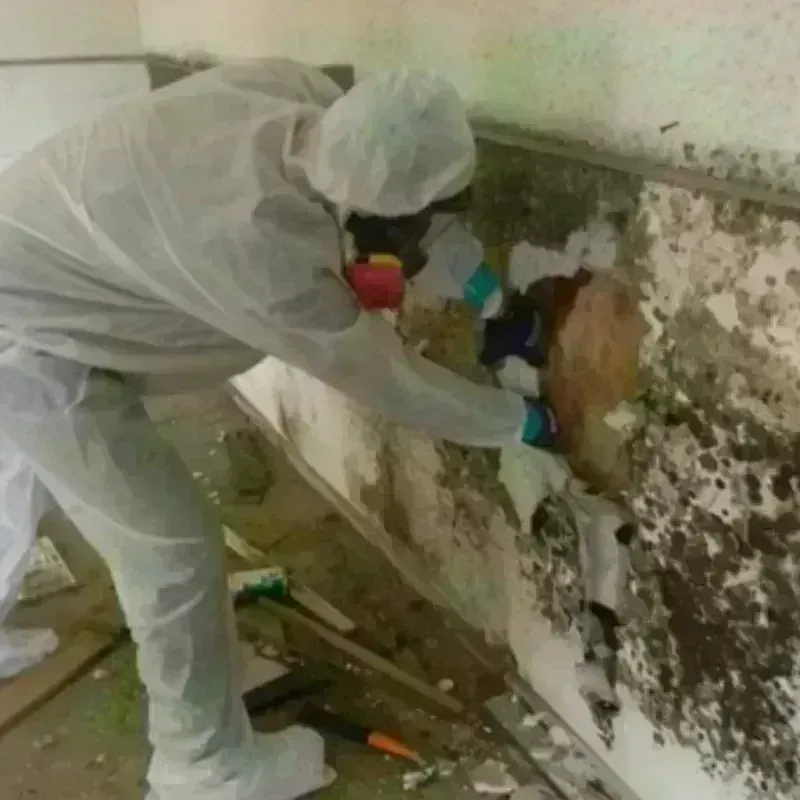 Mold Remediation and Removal in Oakhurst, OK