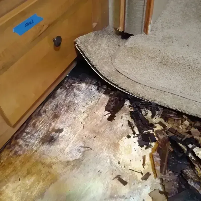 Best Wood Floor Water Damage Service in Oakhurst, OK